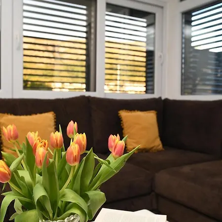 Petra Cozy Retreat - Charming For 4
